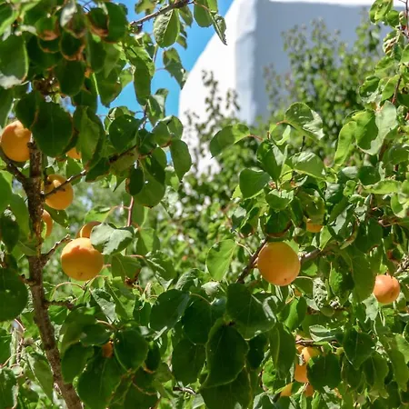 Saint Nicolas Agia Anna (Naxos)